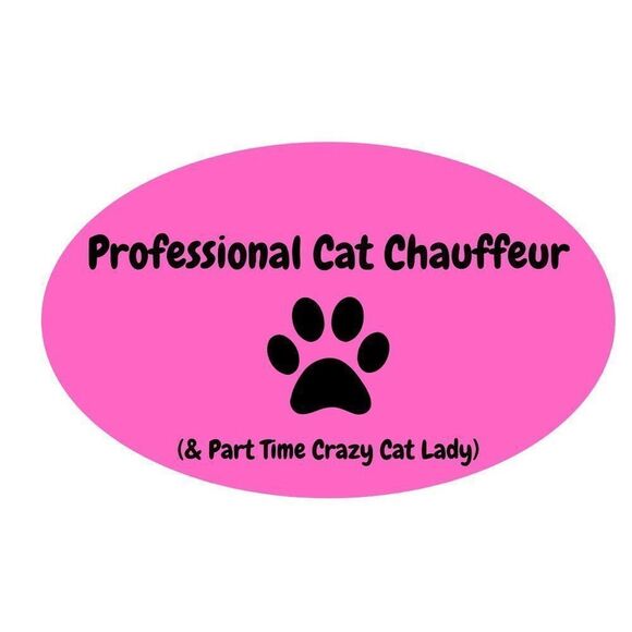 Crazy Cat Lady‎ Funny Magnet Pink Black NEW - Picture 1 of 1